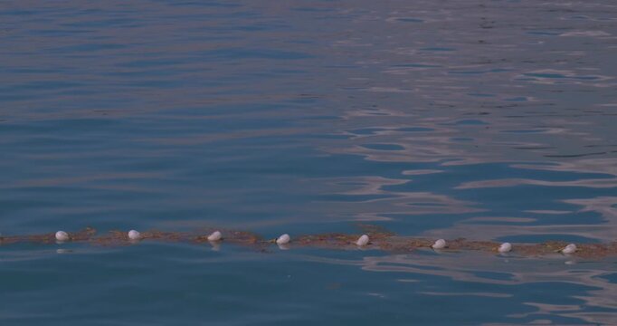 Turquoise Calm Sea with Safety Rope Marking the Deep Water Area