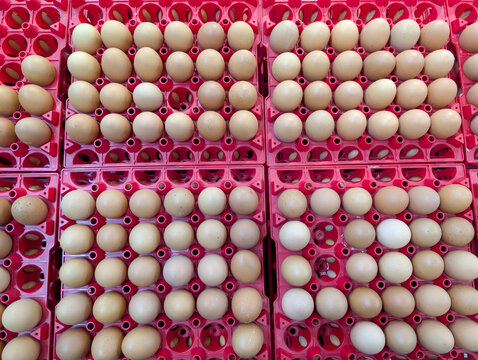 Raw chicken eggs neatly arranged in red plastic tray crates.