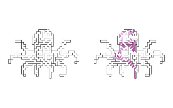 Octopus shaped maze puzzle with start and finish points and solved path displayed beside the unsolved version, medium difficulty