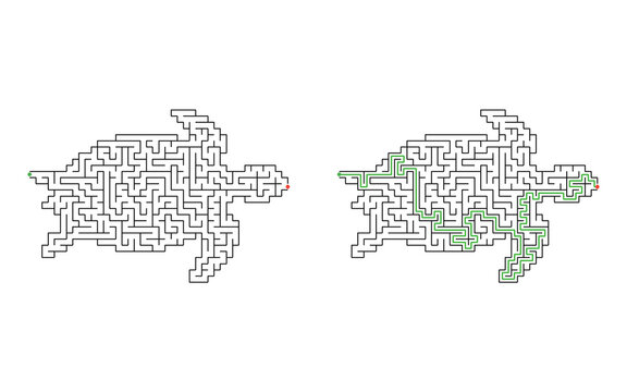 Turtle shaped maze puzzle with start and finish points and solved path displayed beside the unsolved version, medium difficulty