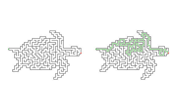 Turtle shaped maze puzzle with start and finish points and solved path displayed beside the unsolved version, mid difficulty
