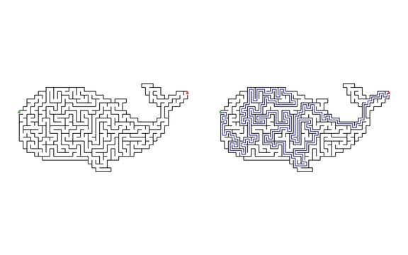 Whale shaped maze puzzle with start and finish points and solved path displayed beside the unsolved version, medium difficulty