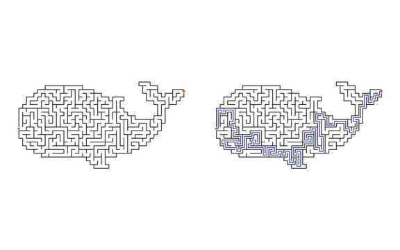 Whale shaped maze puzzle with start and finish points and solved path displayed beside the unsolved version, mid difficulty