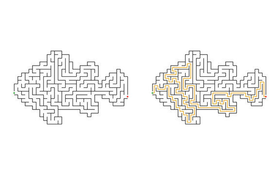 Fish shaped maze puzzle with start and finish points and solved path displayed beside the unsolved version, medium difficulty