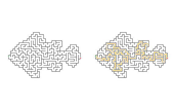 Fish shaped maze puzzle with start and finish points and solved path displayed beside the unsolved version, medium difficulty