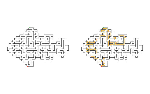 Fish shaped maze puzzle with start and finish points and solved path displayed beside the unsolved version, medium difficulty