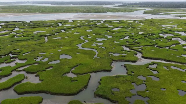 A maze of channels meander through an extensive salt marsh in Pleasant Bay, Cape Cod. Marshes provide critical habitat for many birds, fish, and marine invertebrates to feed, mate, and nest.