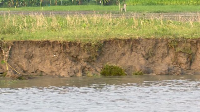 Riverbank Erosion Threatening Rural Communities in Bangladesh