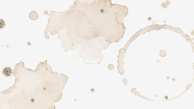 Organic Grunge Mold Texture Overlays. High quality 4k footage
