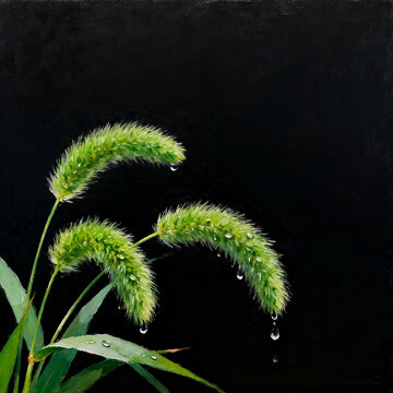 Impasto Oil Painting Green Foxtail Grass With Dew Drops