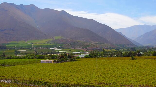 video campos del valle del elqui 00
