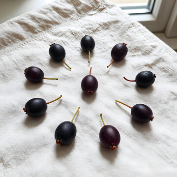 Freshly picked juneberries or saskatoon berries scattered on a light linen cloth, healthy fruit snack, These healthy fruits are a natural and organic snack
