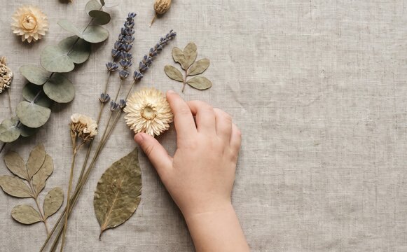 Child hands arranging dried flowers and leaves on linen fabric for craft project