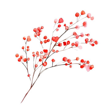 Firecracker Plant Branch, elegant watercolor illustration luminous highlights, isolated on a white background.
