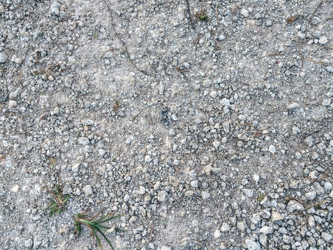 Rocky Sandy Ground Texture with Sparse Vegetation &ndash; Biak, Papua
