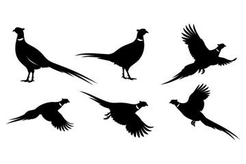 Set of black pheasant bird vector silhouettes isolated on a clean white background, perfect for hunting club logos, nature designs, and wildlife graphics.