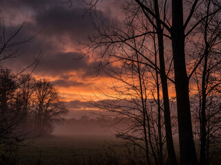 Fototapeta premium Autumn silhouettes of trees against colorful sunset moody dramatic sky