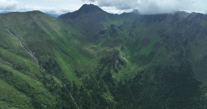 Aerial view of beautiful forest and snow capped mountains 