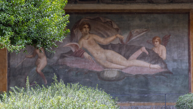 View of the ancient Roman fresco depicting Venus in the shell within the House of Venus in the Shell, surrounded by lush garden greenery in Pompei, Campania, Italy.