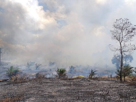 Thick plumes of white smoke billowed high into the air due to forest and land fires, creating dense smoke that reduced visibility and triggered acute respiratory infections (ARI).