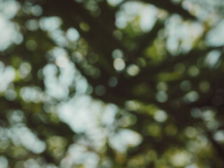 Abstract blurred green leaves with soft bokeh light background for natural copy space mockup. © MothelifeStudio