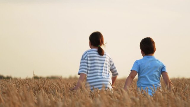 Enthusiastic kids running across yellow wheat field, back view. Ecstatic friends kids children rushing through field. Concept of happiness enjoyment of childhood exploration cognition of environment.