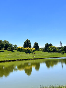 View of Chaoyang Park featuring a calm lake reflecting the surrounding lush green hills and trees under a clear blue sky in Beijing, Beijing, China.