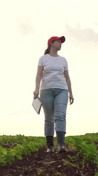 Agriculture, Outdoor technology concept, Worker records field information, Crop management using tablet, Innovative agriculture methods, Brighter farming future, Farm productivity improvement, New