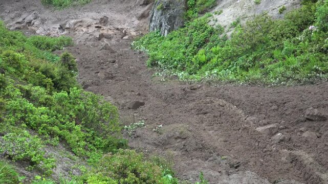 Real landslide mud flows rapidly down a valley creating natural disaster terrain.
