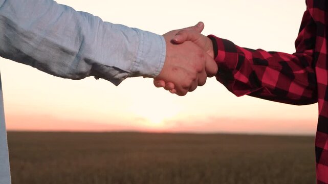 village, hat, lifestyle, nature teamwork handshake green, flourishing agricultural field, agriculture concept, barley, farmer man join forces agreement brings success, partnership collaboration, field