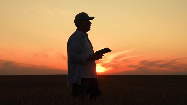 silhouette farmer works digital tablet wheat field, agriculture, modern wheat harvesting, industrial farming technologies, farmer using tablet in wheat field at sunset, tranquil farmland scene with