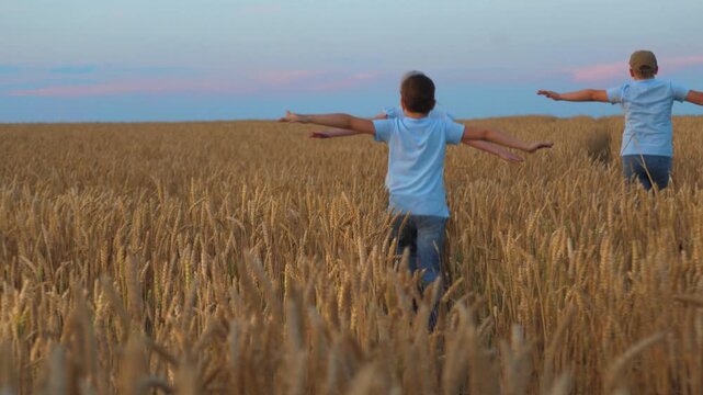 Child kids running through wheat field, run children group boy girl wheat field, agriculture, friends outdoors, people nature, son and daughter holding hands, carefree sister in nature, joy and
