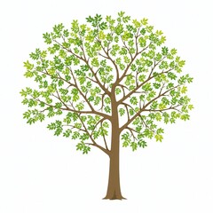Obraz premium Green Tree with Branches and Leaves Flat Illustration