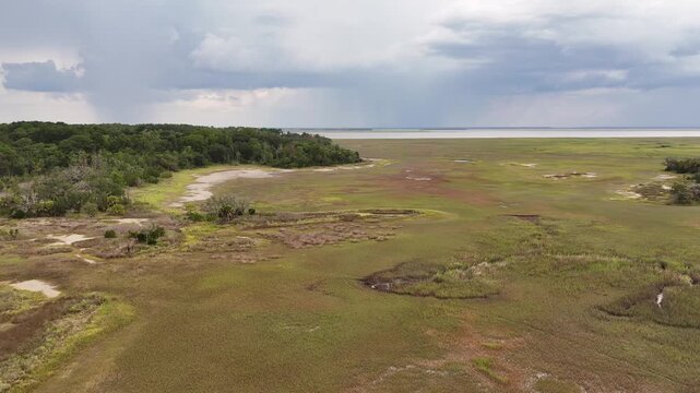 Drone aerial of Landscape showing a wide area of marshland near a forested area under a cloudy sky