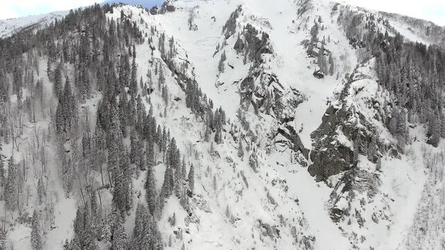 Aerial snowy mountain slope with mixed forest and rocky textures, minimal alpine background.