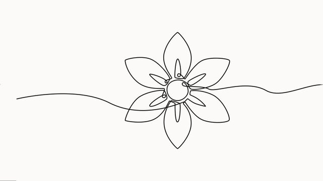 simple flower continuous one-line drawing vector Animation on white background.