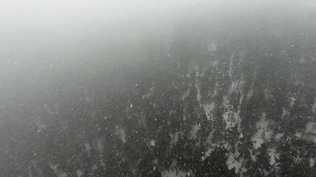 Aerial snowy mountains above forest valley in winter in Dinaric Alps, calm alpine panorama.