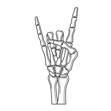 Skeleton hand rock line vector, skeleton finger hand line drawing vector,rock hand skeleton line art image,rock hand skeleton sign line icon, skull metal rock hand line  illustration ,
