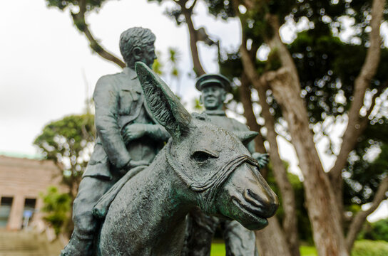 A detailed bronze sculpture of two soldiers and a donkey stands among trees at Pukeahu National War Memorial Park in Wellington, New Zealand