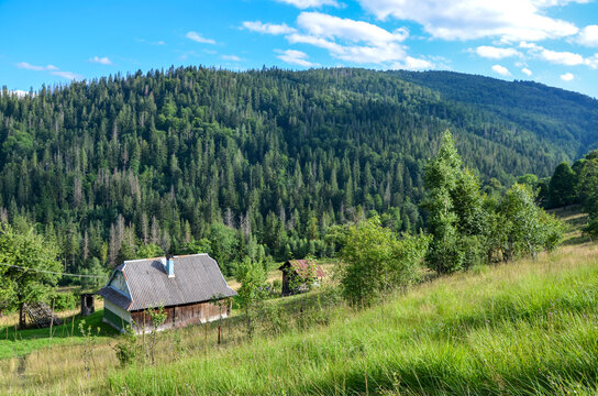 Rustic cottage nestled in a green mountain valley with dense evergreen forest, rolling meadow and bright blue sky, evoking rural tranquility, nature, solitude and traditional countryside living