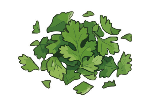 Fresh cilantro illustration with vibrant green leaves, juicy glossy texture and aromatic herb styling ／ シズル感のあるパクチーのイラスト、鮮やかな緑の葉とみずみずしい艶感を表現した香り豊かなハーブ