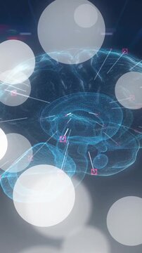 Digital brain scan and data analysis animation over abstract white circles