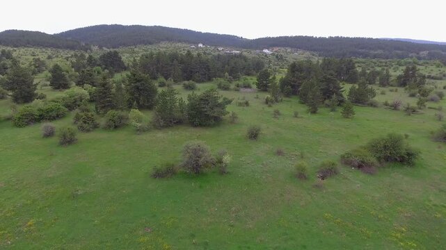 Aerial view of Serbian village houses, lake, flowering meadows, sparse forested hills.
