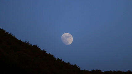Full Moon Glowing Brightly Over Dark Pine Forest Hillside Against Deep Blue Twilight Sky © L.Z.C Photographer