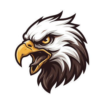 Angry eagle vector head mascot illustration of a fierce wild bird predator with yellow beak and brown feathers isolated on white background for sports team logo design.