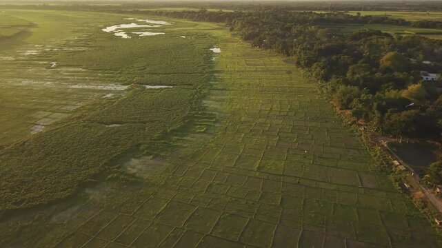 Aerial drone footage showing the expansive open main area of Ujan Gram Big Beel surrounded by green vegetation and a rural village in Bangladesh.