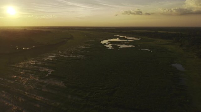 Forward aerial view of a rural wetland landscape in Bangladesh during sunset, showing green fields, reflective water patches, and a tree-lined horizon.