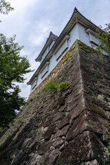The reconstructed Bitchu Yagura turret and historic stone walls of Tsuyama Castle (Kakuzan Park) in Okayama, Japan. © hit1912