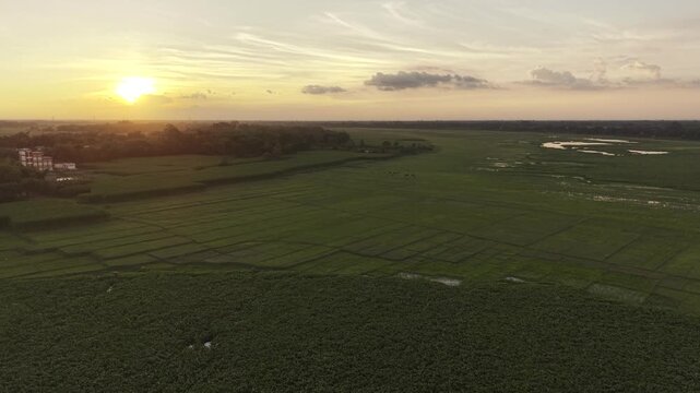 Drone footage of the Ujan Gram Big Beel landscape at sunset, featuring broad green areas, water-filled sections, and tree-covered rural surroundings.