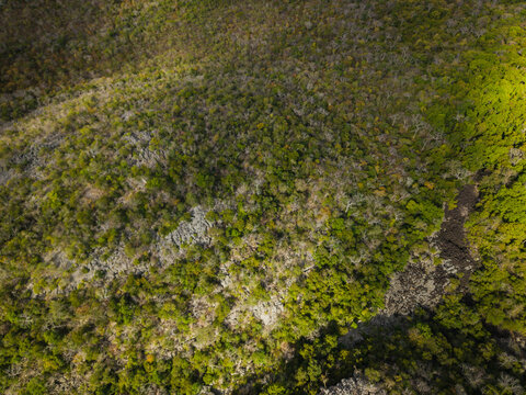 Aerial view of the rugged karst landscape and dense forest canopy within the Reserve Speciale d'Ankarana in Diana, Madagascar.